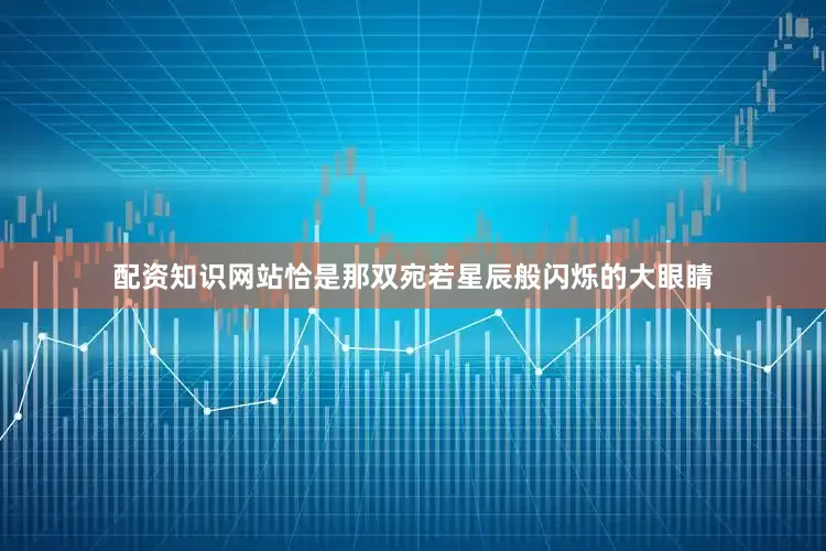 配资知识网站恰是那双宛若星辰般闪烁的大眼睛