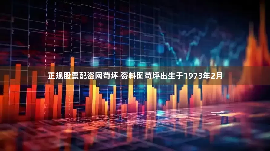 正规股票配资网苟坪 资料图苟坪出生于1973年2月