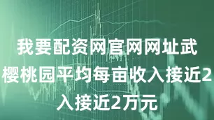 我要配资网官网网址武明星樱桃园平均每亩收入接近2万元