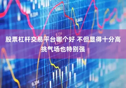 股票杠杆交易平台哪个好 不但显得十分高挑气场也特别强